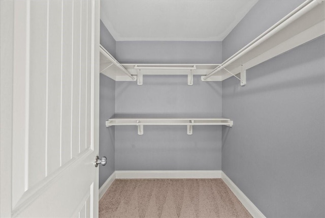 3217 Michigan St, Baytown, TX 77520 - spacious closet with carpet floors