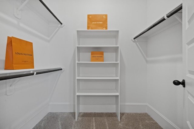 16715 Bark Cabin Dr, Humble, TX 77346 - spacious closet with carpet flooring