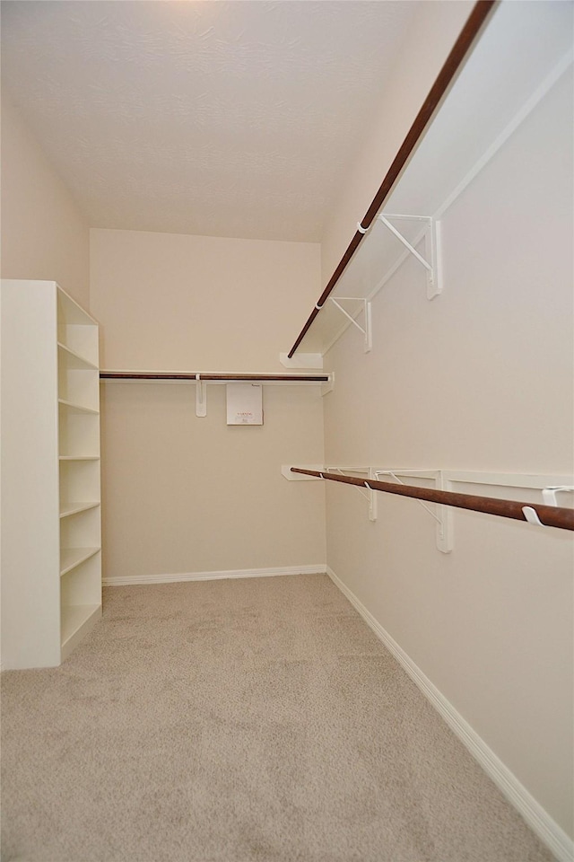 19222 Aquatic Dr, Houston, TX 77346 - photo 17