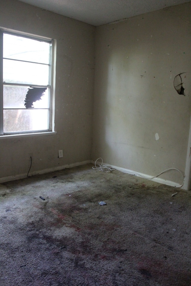 4813 Angleton St, Houston, TX 77033 - photo 6