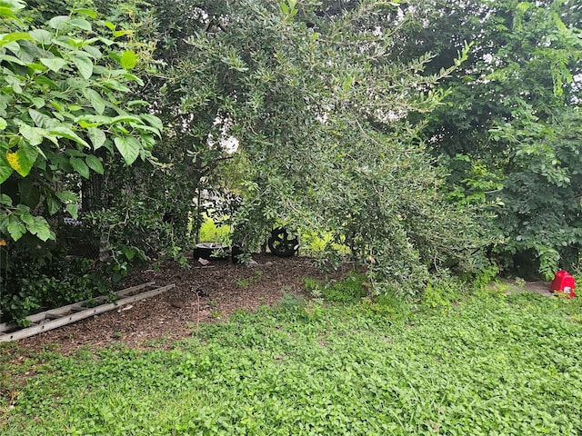 6504 Ave J, Houston, TX 77011 - view of yard