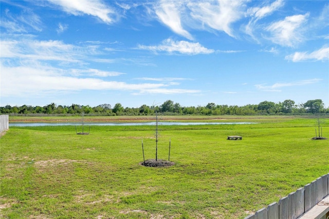 23823 Escardilla Dr, Hockley, TX 77447 - photo 4