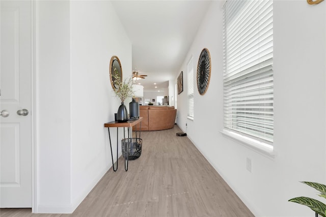 23823 Escardilla Ln, Hockley, TX 77447 - hallway featuring wood finished floors