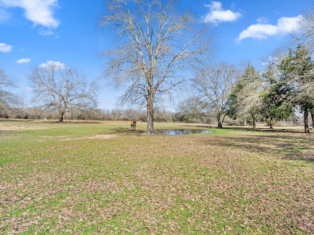9079 County Road 120, Centerville, TX 75833 - photo 29