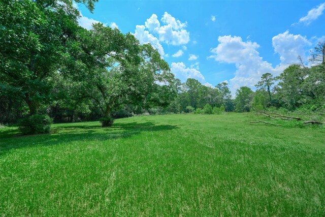 4702 Treaschwig Rd, Spring, TX 77373 - photo 5