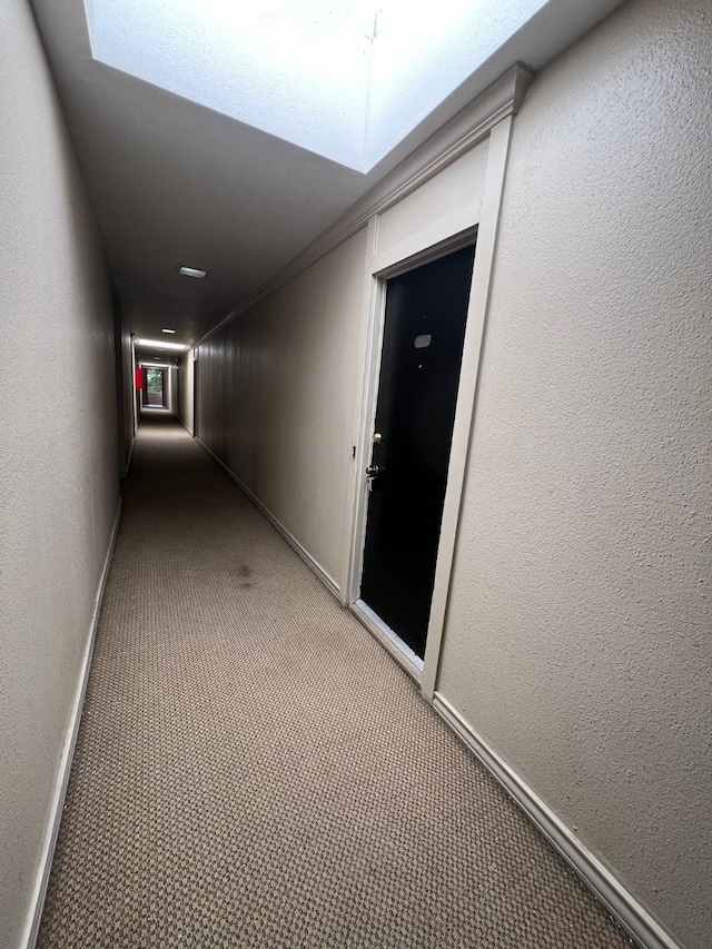4631 Wild Indigo St Unit 572, Houston, TX 77027 - photo 4