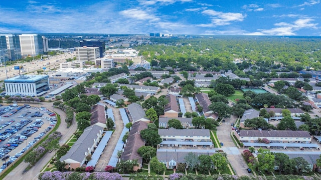 1310 Country Place Dr, Houston, TX 77079 - photo 34