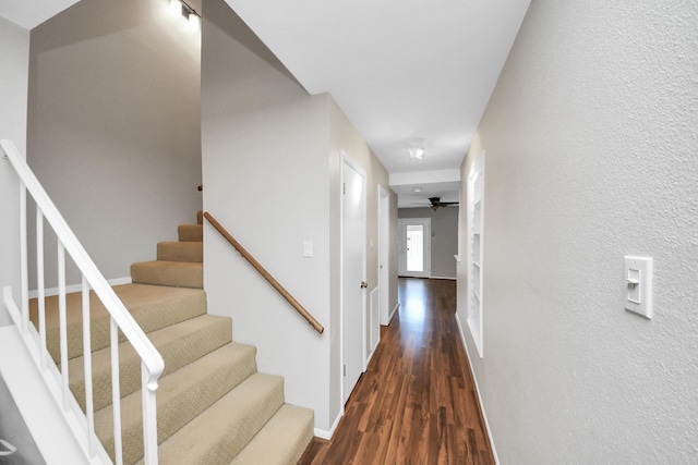 1310 Country Place Dr, Houston, TX 77079 - photo 19