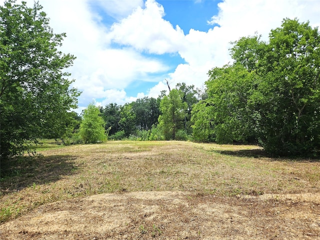 5015 Ghinaudo Rd, Hitchcock, TX 77563 - photo 7