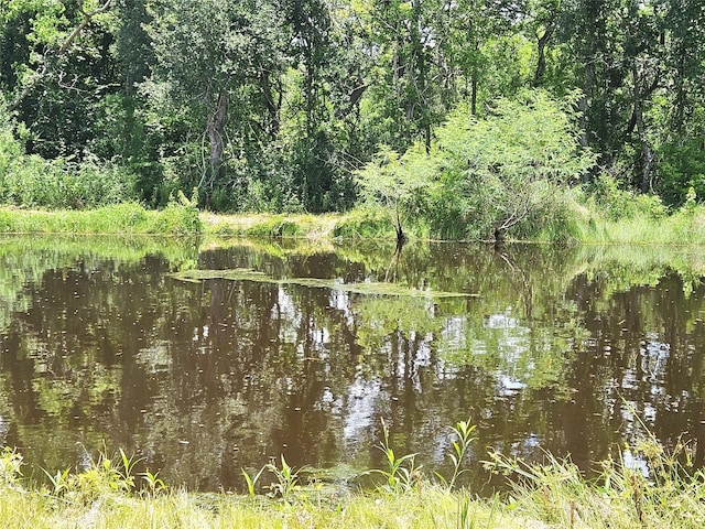 5015 Ghinaudo Rd, Hitchcock, TX 77563 - photo 10