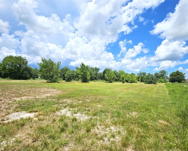 5015 Ghinaudo Rd, Hitchcock, TX 77563 - photo 14