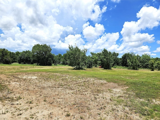 5015 Ghinaudo Rd, Hitchcock, TX 77563 - photo 13