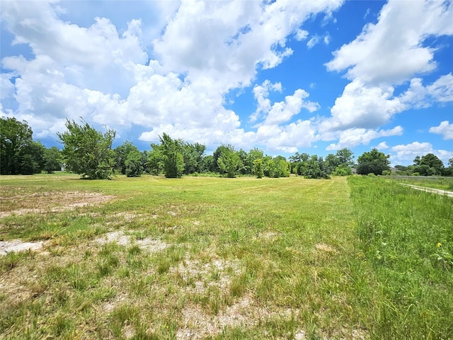 5015 Ghinaudo Rd, Hitchcock, TX 77563 - photo 15