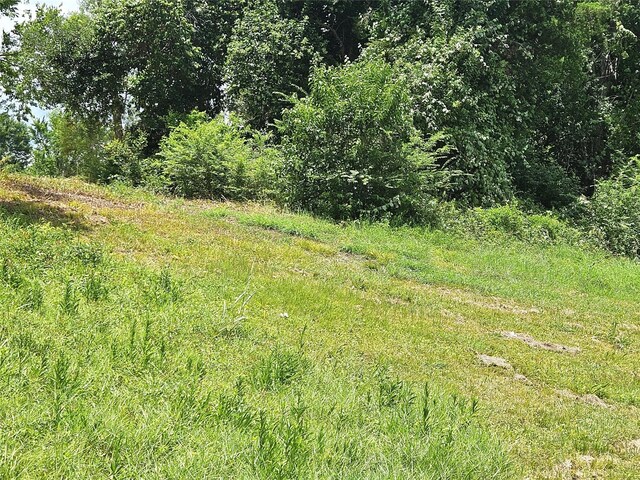 5015 Ghinaudo Rd, Hitchcock, TX 77563 - photo 5