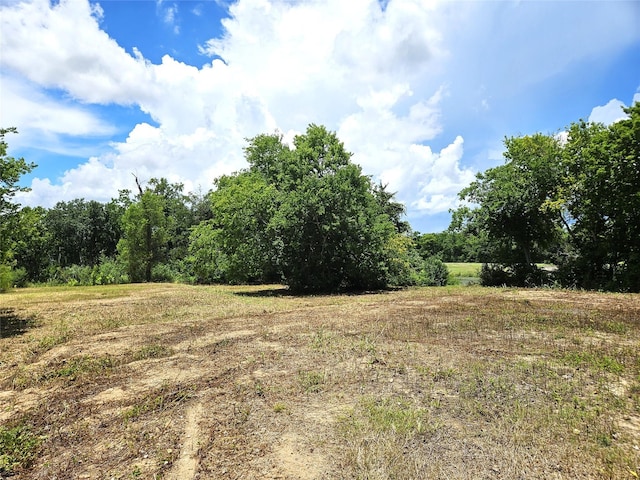 5015 Ghinaudo Rd, Hitchcock, TX 77563 - photo 8