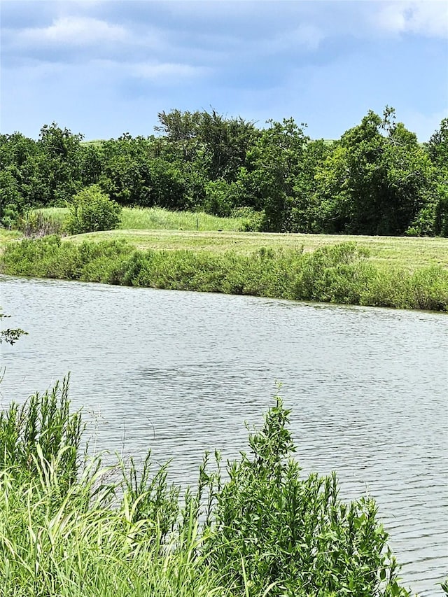 5015 Ghinaudo Rd, Hitchcock, TX 77563 - photo 3