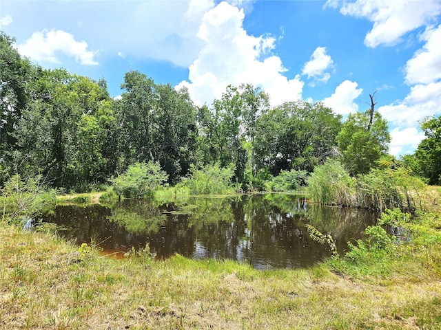 5015 Ghinaudo Rd, Hitchcock, TX 77563 - photo 9