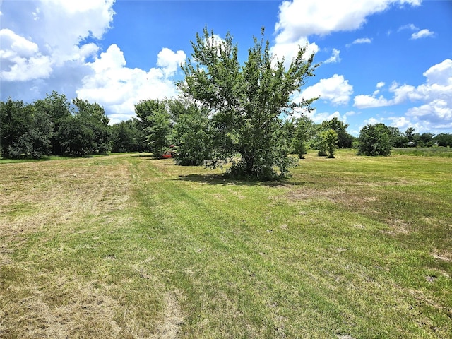 5015 Ghinaudo Rd, Hitchcock, TX 77563 - photo 11