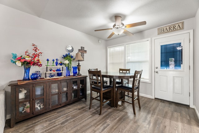 7214 Skylight Ln, Houston, TX 77095 - photo 11