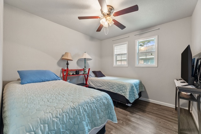 7214 Skylight Ln, Houston, TX 77095 - photo 19
