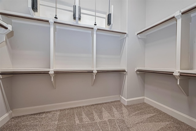 8816 Lakeshore Bend Dr, Houston, TX 77080 - photo 39