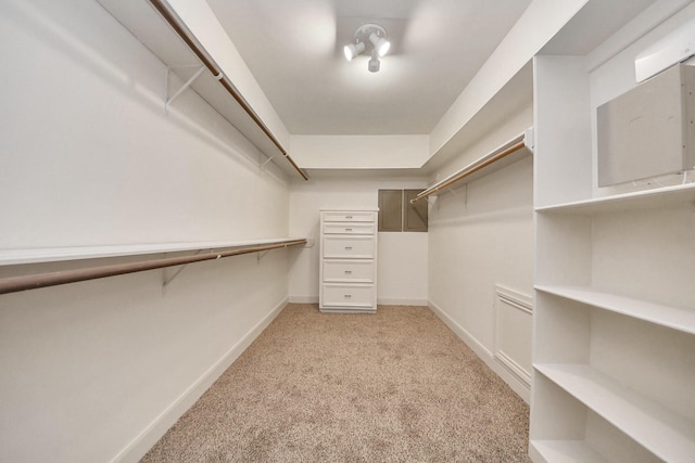 1743 Randons Point Dr, Sugar Land, TX 77478 - spacious closet with light carpet