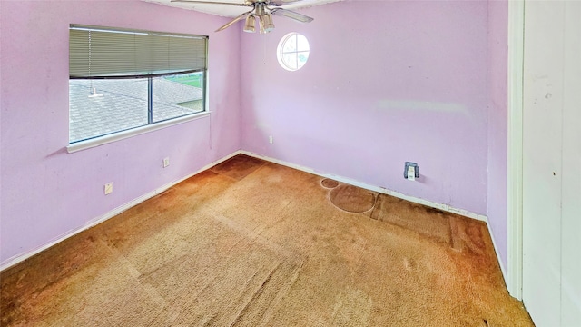 12447 Versailles Dr, Houston, TX 77015 - photo 22