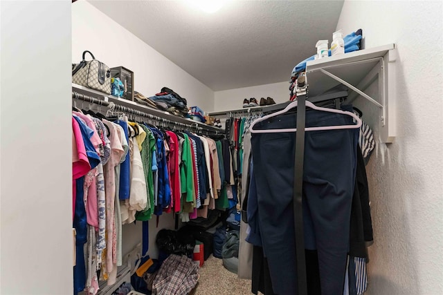 22006 Great Royal Ln, Houston, TX 77073 - walk in closet with carpet floors