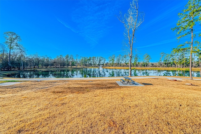 213 Trapper Creek Dr, Conroe, TX 77304 - photo 34