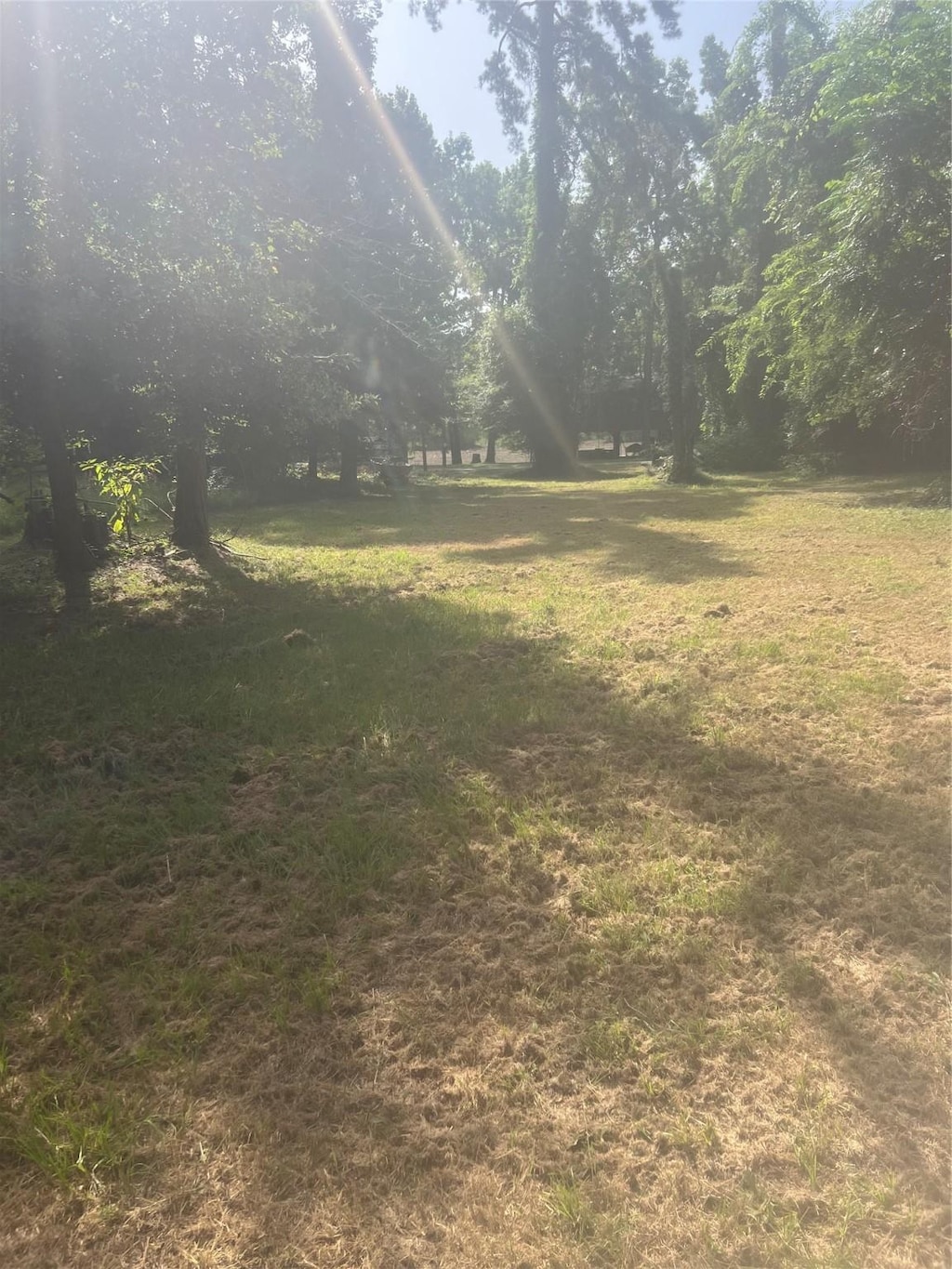 LOT077, 084 Hillwood Dr, Trinity, TX 75862