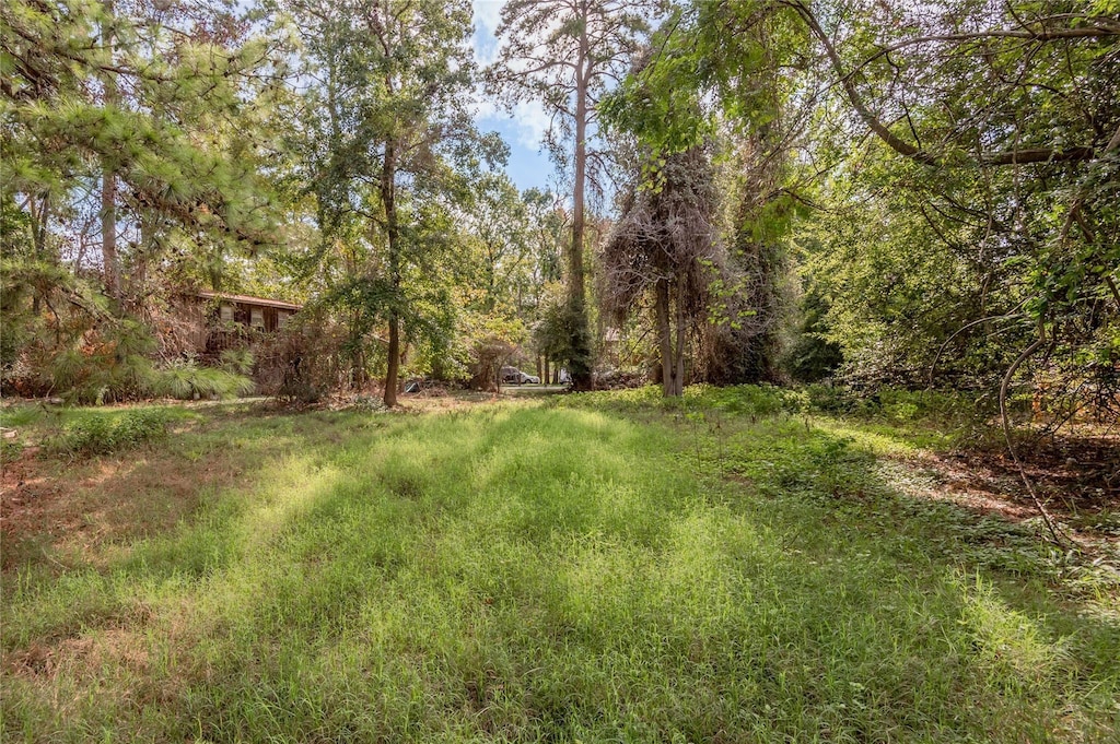 LOT077, 084 Hillwood Dr, Trinity, TX 75862