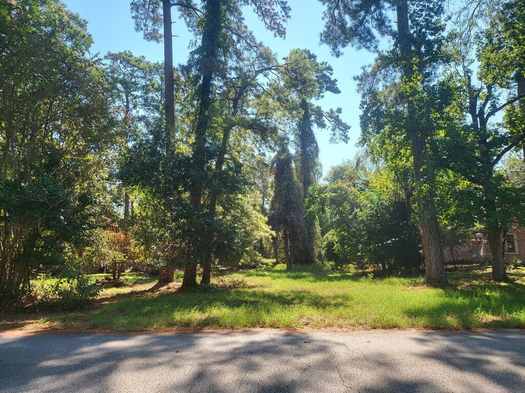 LOT077, 084 Hillwood Dr, Trinity, TX 75862