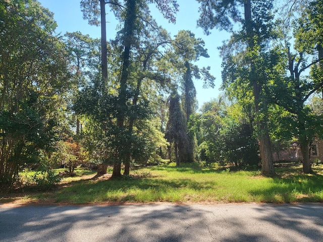 LOT077, 084 Hillwood Dr, Trinity, TX 75862