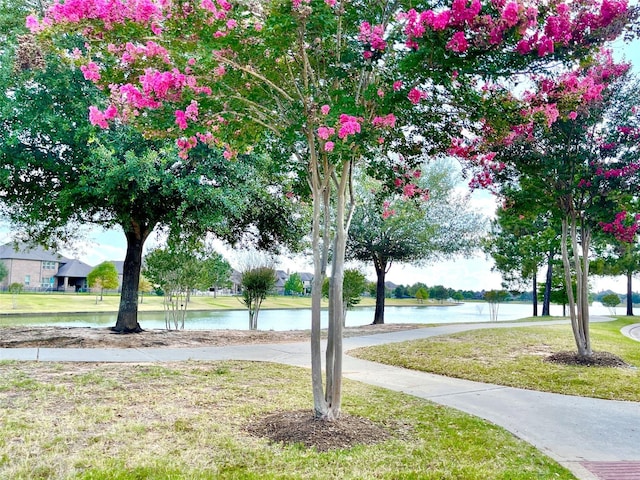 16506 Orchid Mist Dr, Cypress, TX 77433 - view of grassy yard featuring a water view