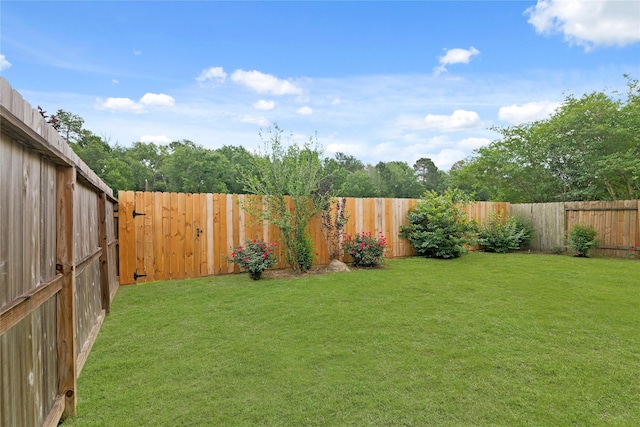 28963 Birch Green Way, Spring, TX 77386 - photo 28