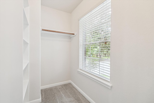 13411 Via Chianti Ln, Cypress, TX 77429 - walk in closet featuring carpet