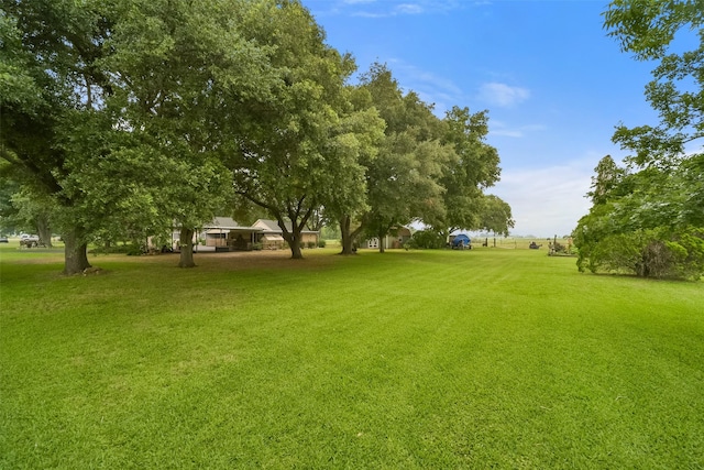 13710 Mueck Rd, Needville, TX 77461 - photo 38