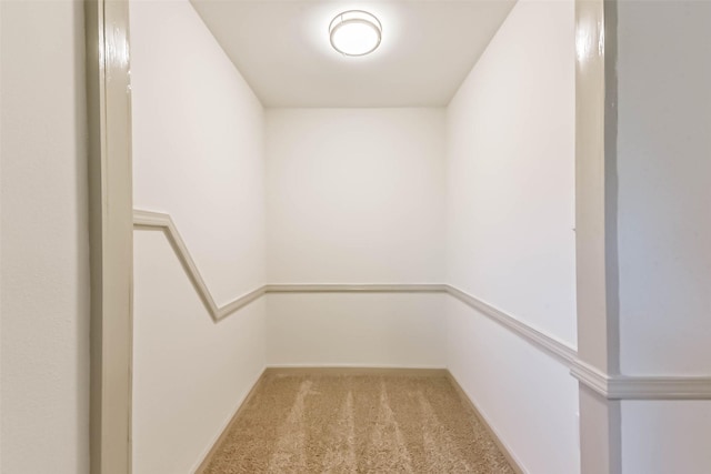 4214 Brightwood Dr, Houston, TX 77068 - walk in closet with carpet floors