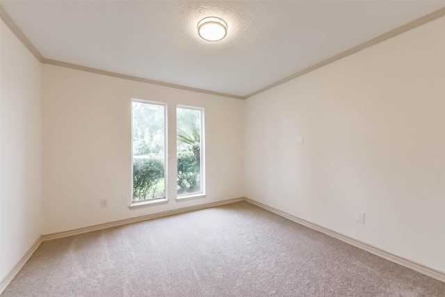 4214 Brightwood Dr, Houston, TX 77068 - empty room with light carpet, ornamental molding, and a textured ceiling