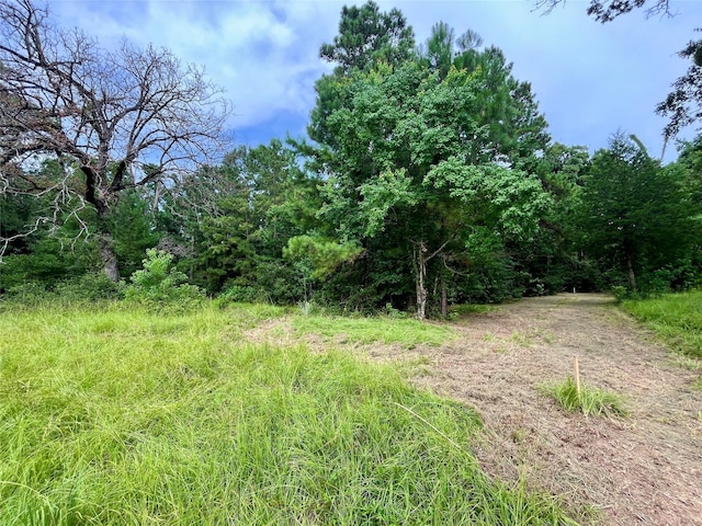 20 Cresent, Trinity, TX 75862