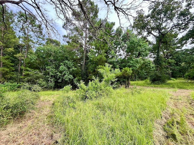 20 Cresent, Trinity, TX 75862