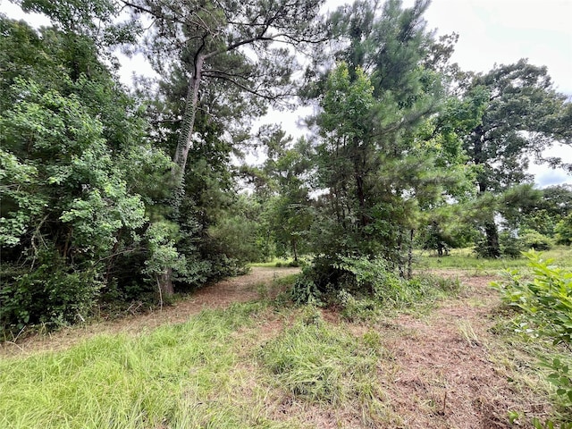 20 Cresent, Trinity, TX 75862