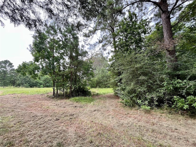 20 Cresent, Trinity, TX 75862