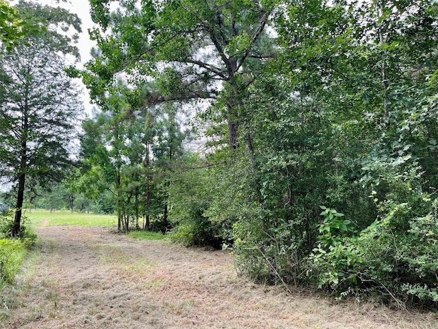 20 Cresent, Trinity, TX 75862