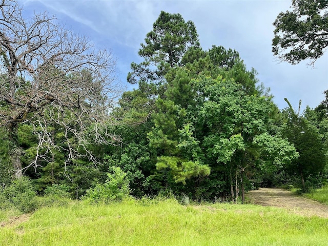 20 Cresent, Trinity, TX 75862
