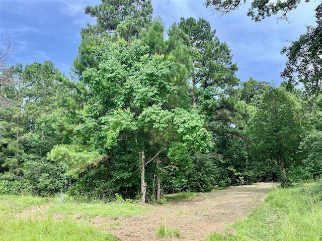 20 Cresent, Trinity, TX 75862