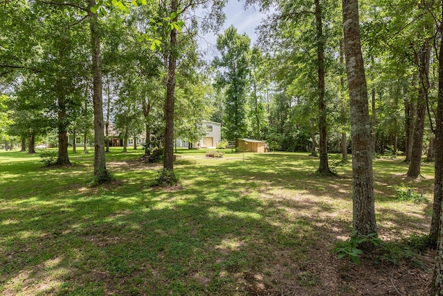 27724 Colapis Dr, Splendora, TX 77372 - view of green lawn with a shed