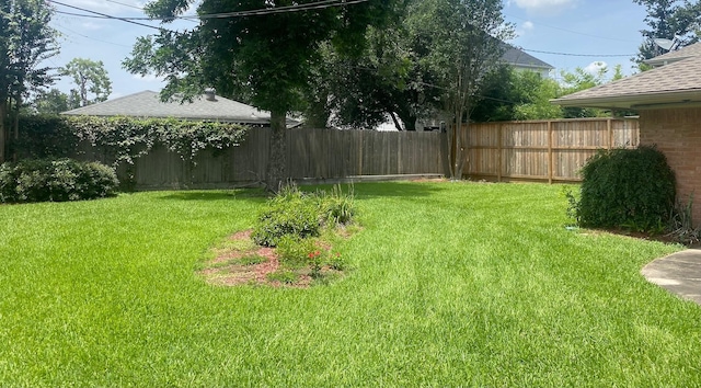 6220 Queenswood Ln, Houston, TX 77008 - view of yard
