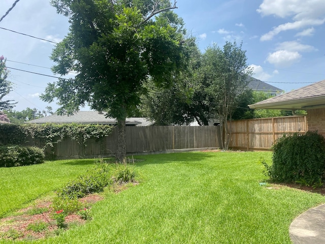 6220 Queenswood Ln, Houston, TX 77008 - view of fenced backyard