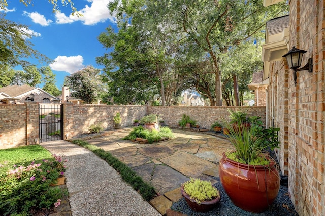 5022 Coral Gables Dr, Houston, TX 77069 - view of yard featuring a gate and a patio area